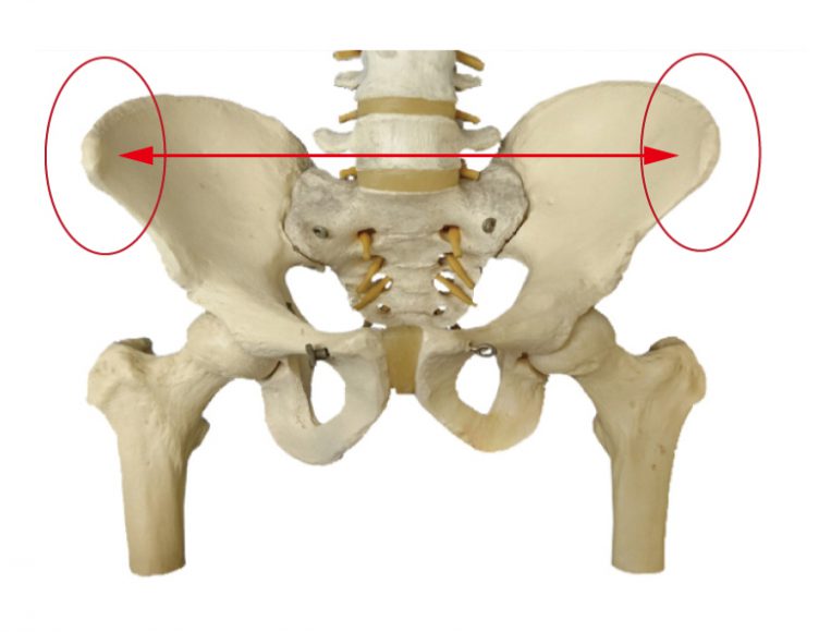 骨盤　広がり
